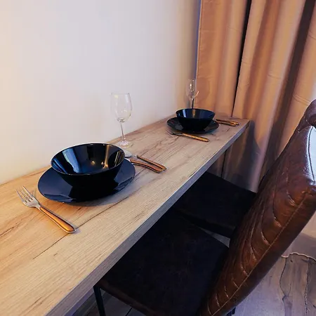 Lili Apartment Timisoara