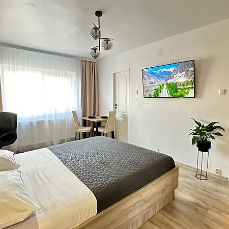 Lili Timisoara