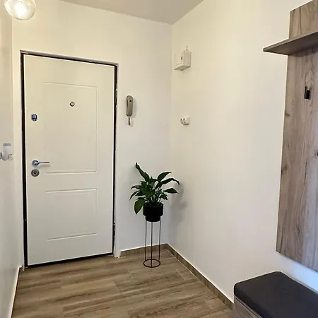 Lili Apartment Timişoara