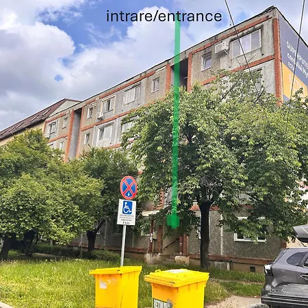 Lili * Timisoara