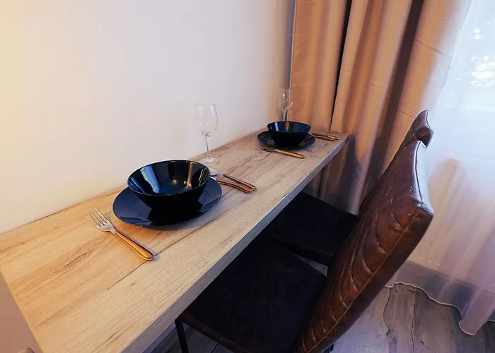 Lili Apartment Timisoara