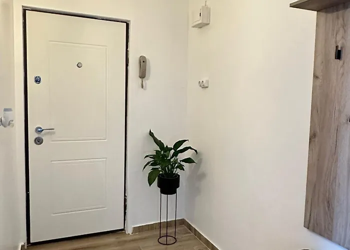 Lili Apartment Timisoara